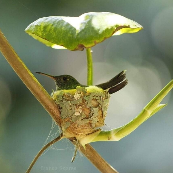 ABOUT ME - Picture 9 of 12